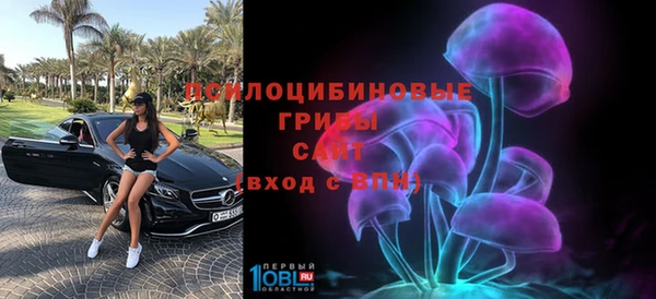 Альфа ПВП Новодвинск