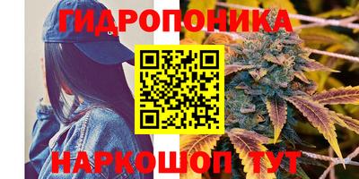 соль ск Краснознаменск