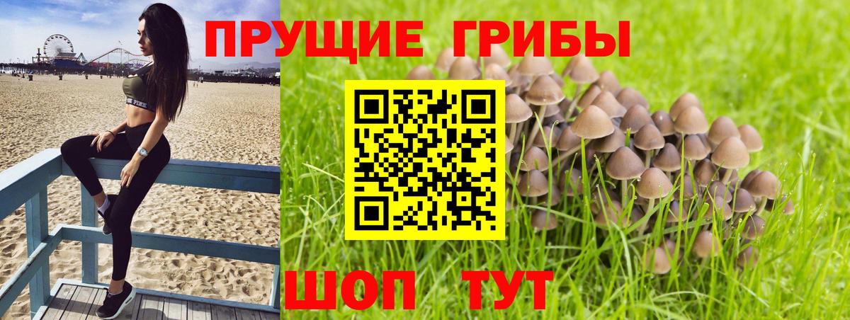 Галлюциногенные грибы мухоморы Прохладный