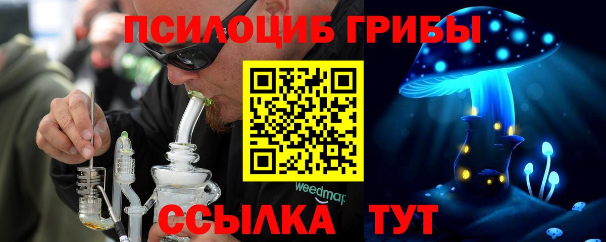 как найти закладки  Прохладный  Галлюциногенные грибы ЛСД 