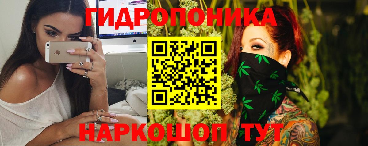 Конопля LSD WEED  МАРИХУАНА тримм  Прохладный  Вход с VPN 